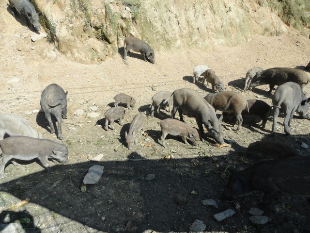 Stake(�й�)�ٷ���վ-Stake����,ֻΪ��ͬ����