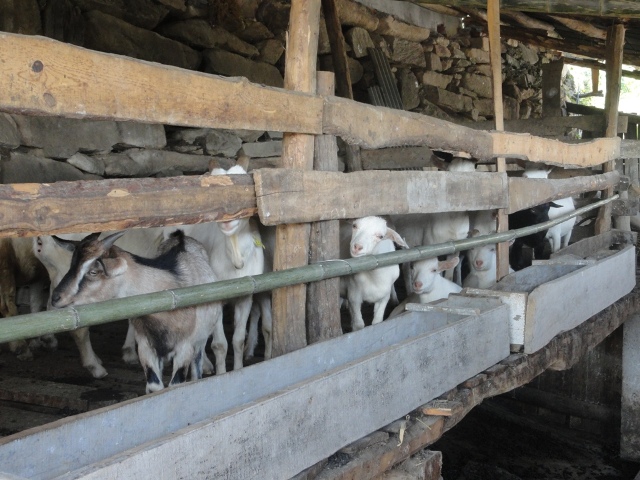 Stake(�й�)�ٷ���վ-Stake����,ֻΪ��ͬ����